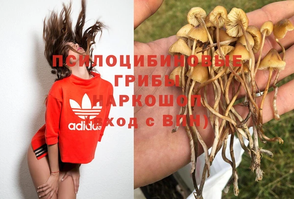 ALPHA PVP Зерноград