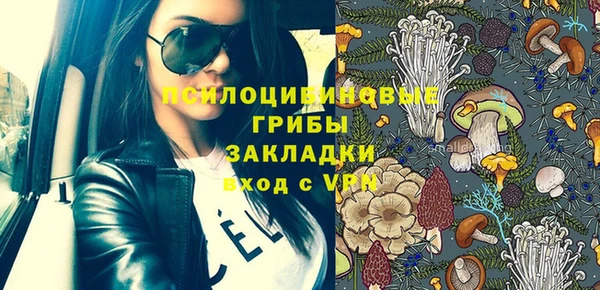 дмт Слюдянка