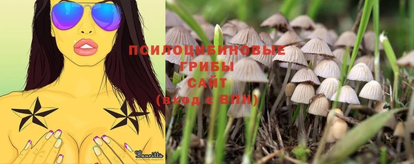 таблы Зеленокумск