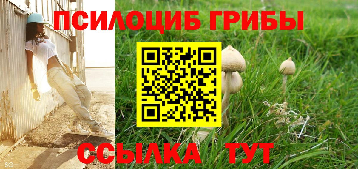 Галлюциногенные грибы Psilocybine cubensis Сердобск