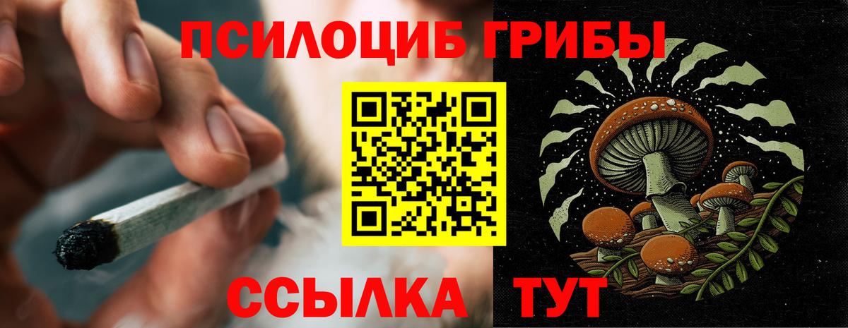 Галлюциногенные грибы мухоморы  Сердобск  где найти   Псилоцибиновые грибы Magic Shrooms 