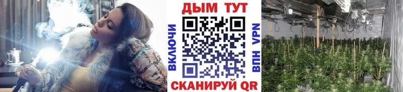 Бошки Шишки VHQ  KRAKEN ссылки  shop наркотические препараты  Сердобск 